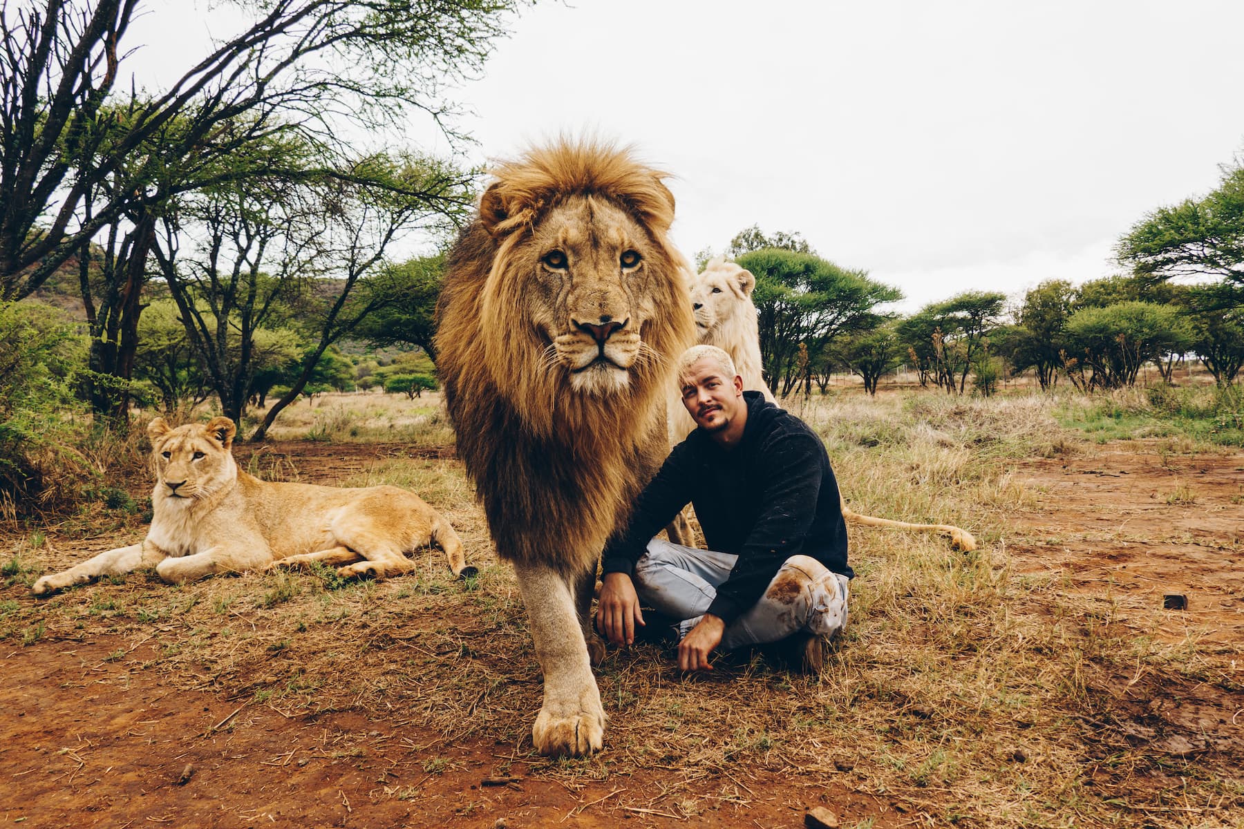 Dean is sitting on the ground in the African wildernis. Dexter is walking on infront of him, in the background a lioness is chilling. The Dean Schneider Foundation initiates, supports, and operates worldwide projects for the protection of animals.